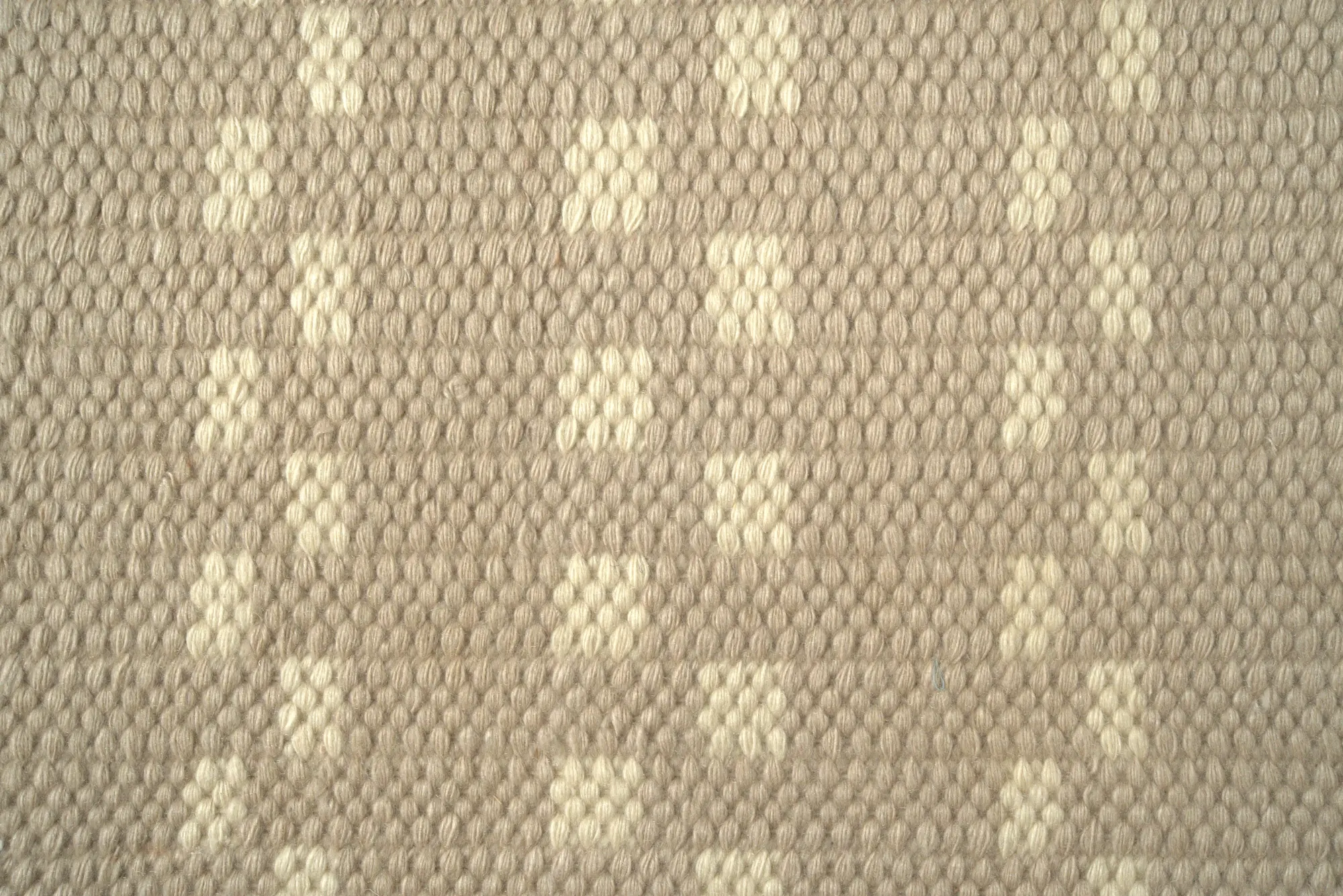 Taupe Dash - Image 3