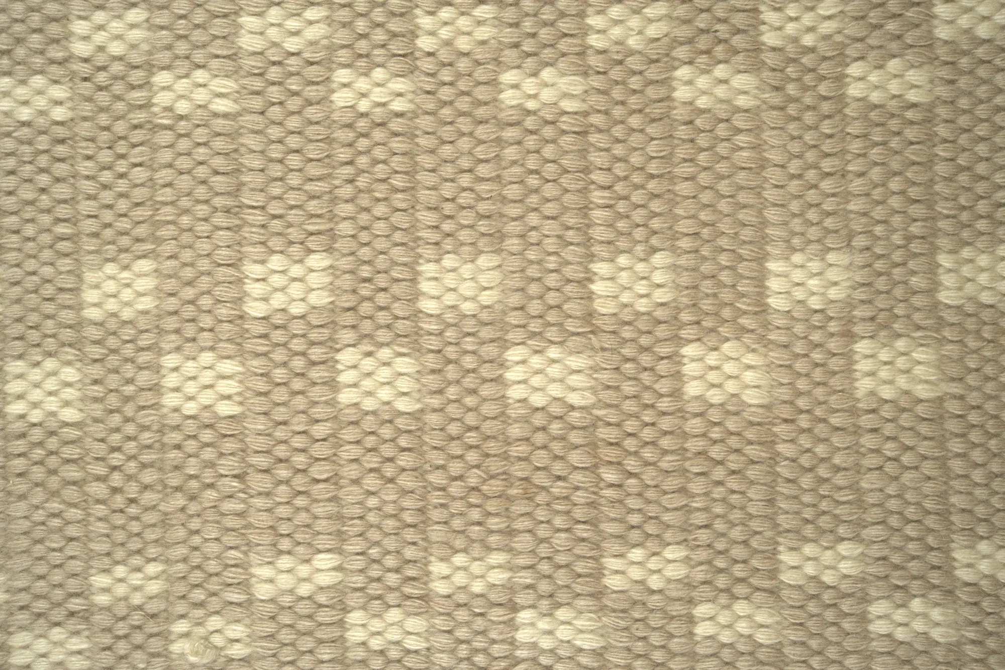 Taupe Dash - Image 6