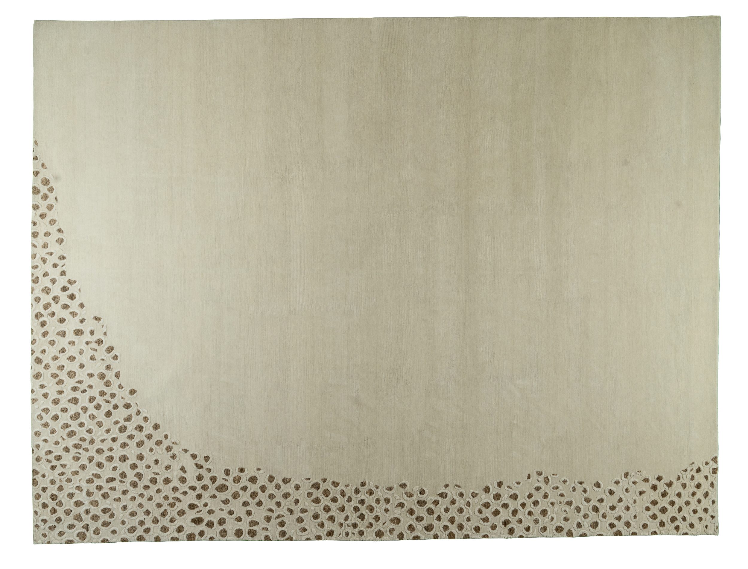 Leopard - Image 4