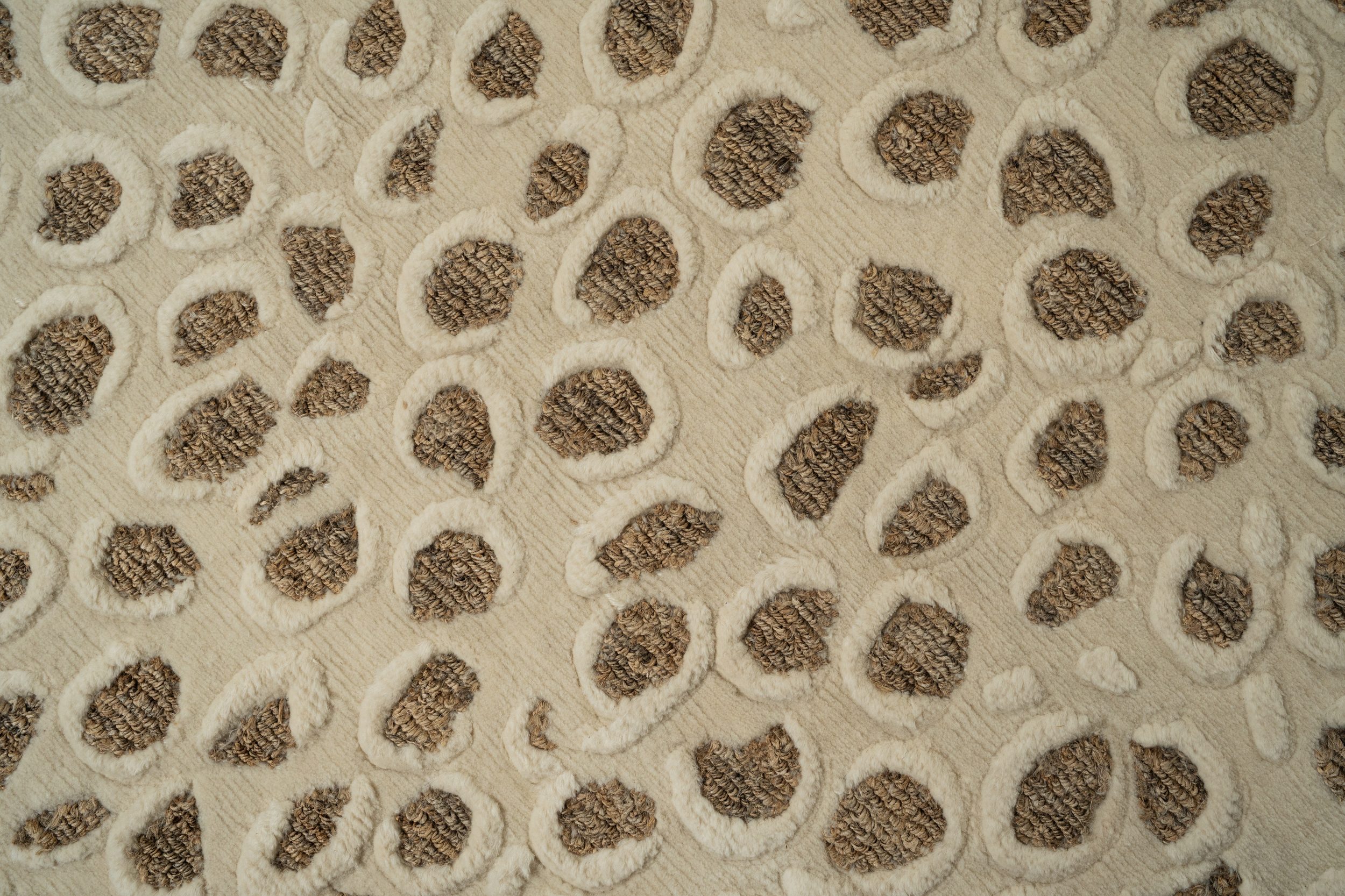 Leopard - Image 3