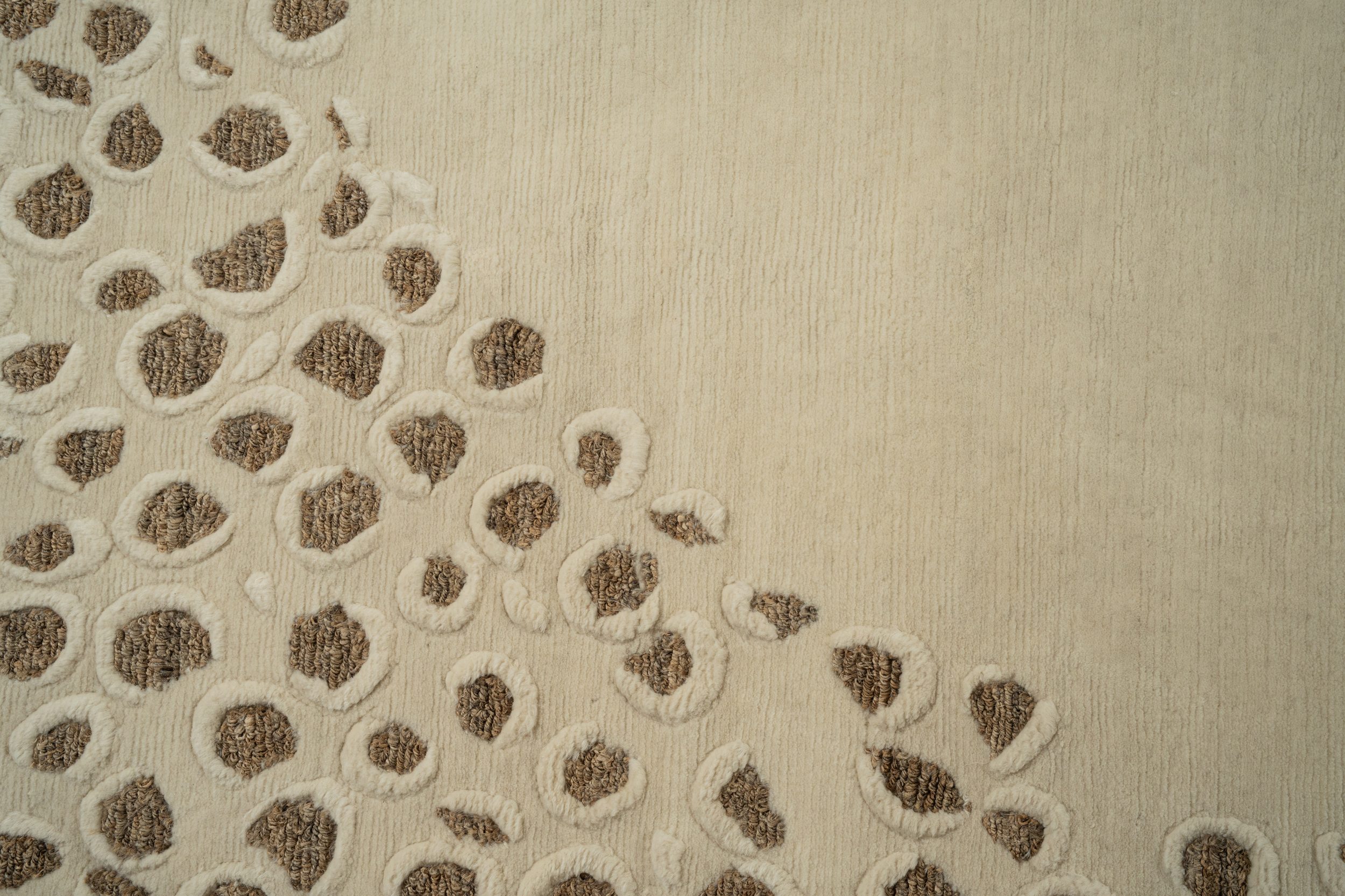 Leopard - Image 2